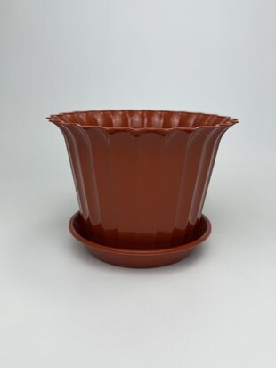 Астра 17 з підставкою (тера)