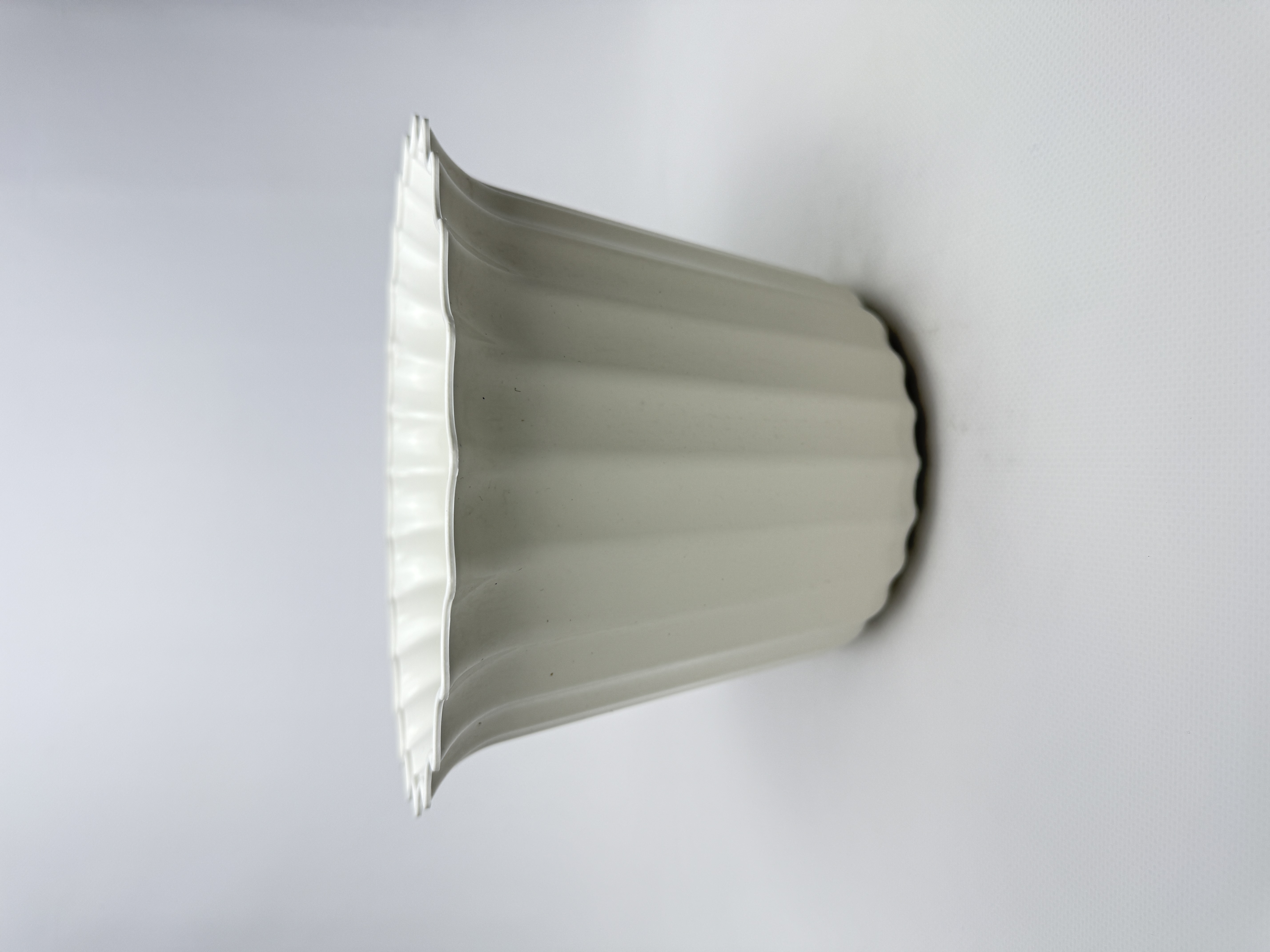 Астра 20 (біла)