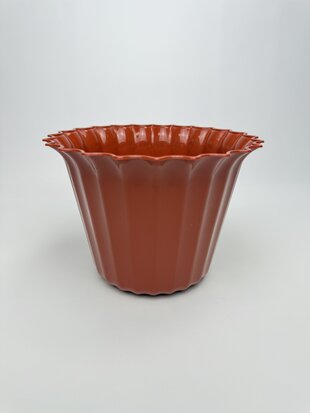 Астра 20 (тера)