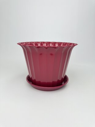 Астра 20 з підставкою (мікс)