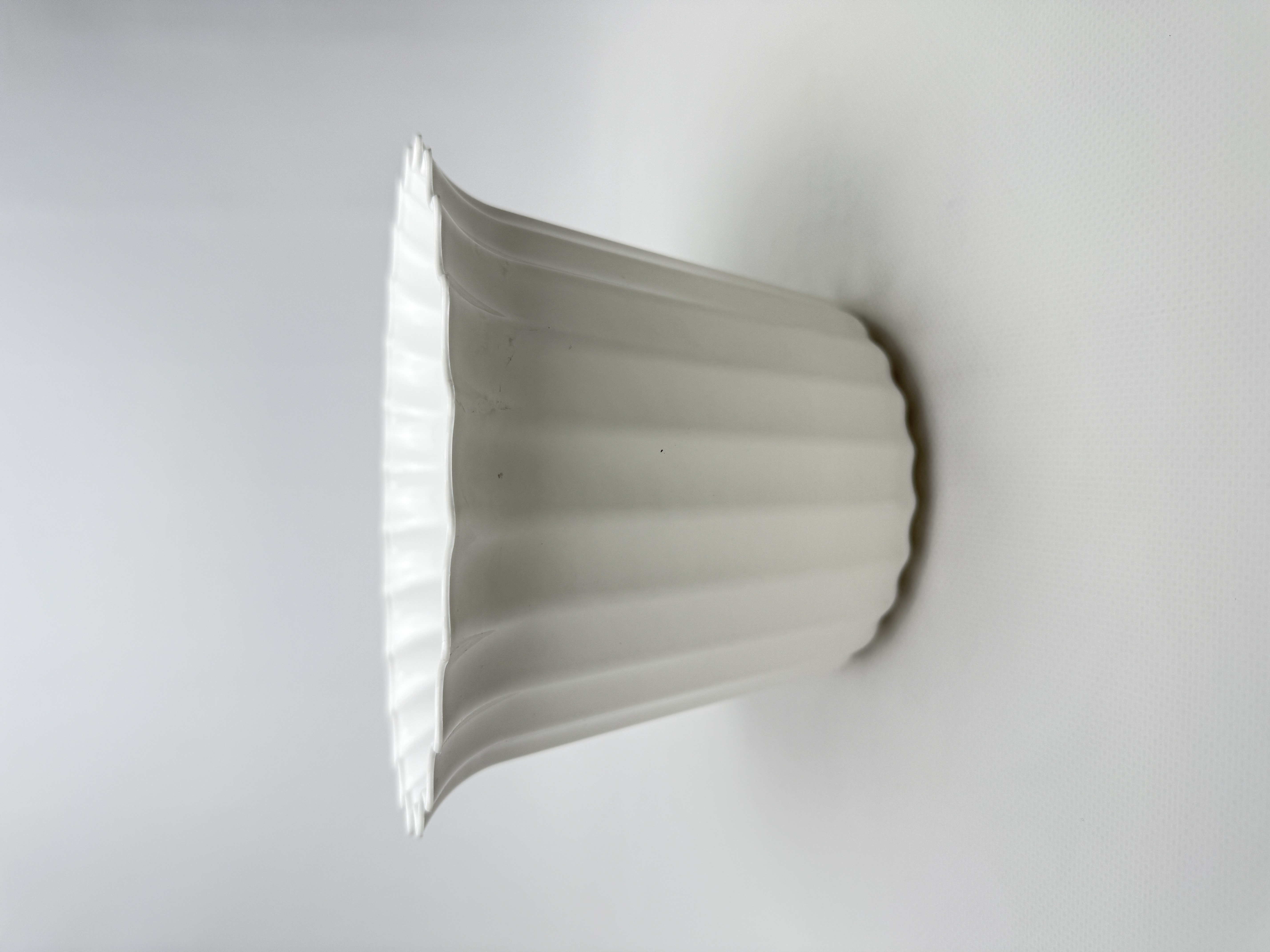 Астра 23 (біла)