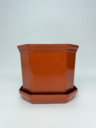 Дама з підставкою 14 (тера)