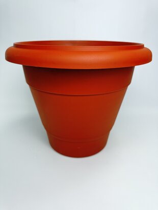 Лаура 50 (тера)