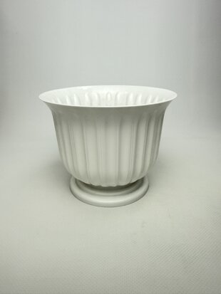 Лілея 17 (біла)