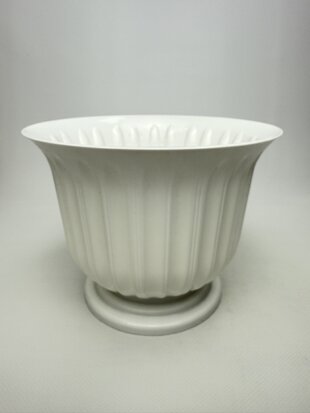 Лілея 19 (біла)