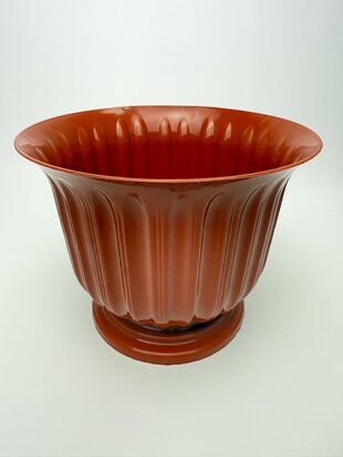 Лілея 19 (тера)