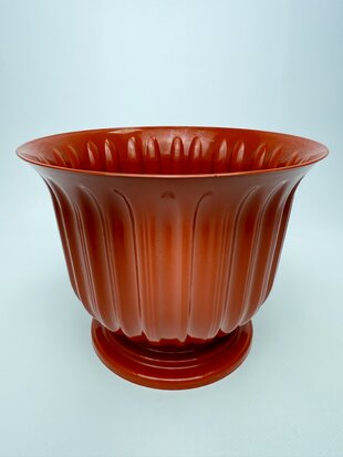 Лілея 21 (тера)