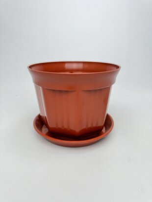 Октава 15 тера з підставкою