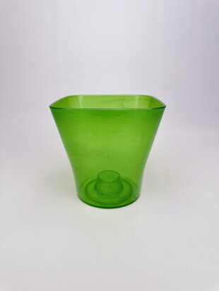 Орхідейниця 13 зелена