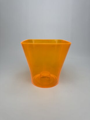 Орхідейниця 13 помаранчева