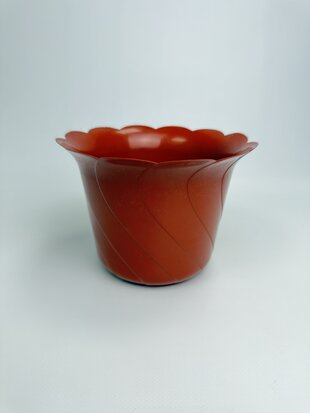 Тюльпан 16 (тера)