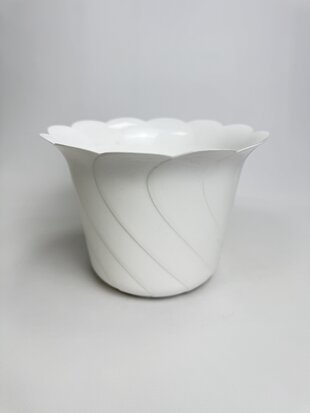 Тюльпан 22 (білий)