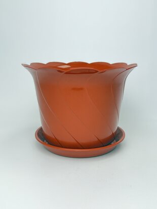 Тюльпан 22 тера з підставкою