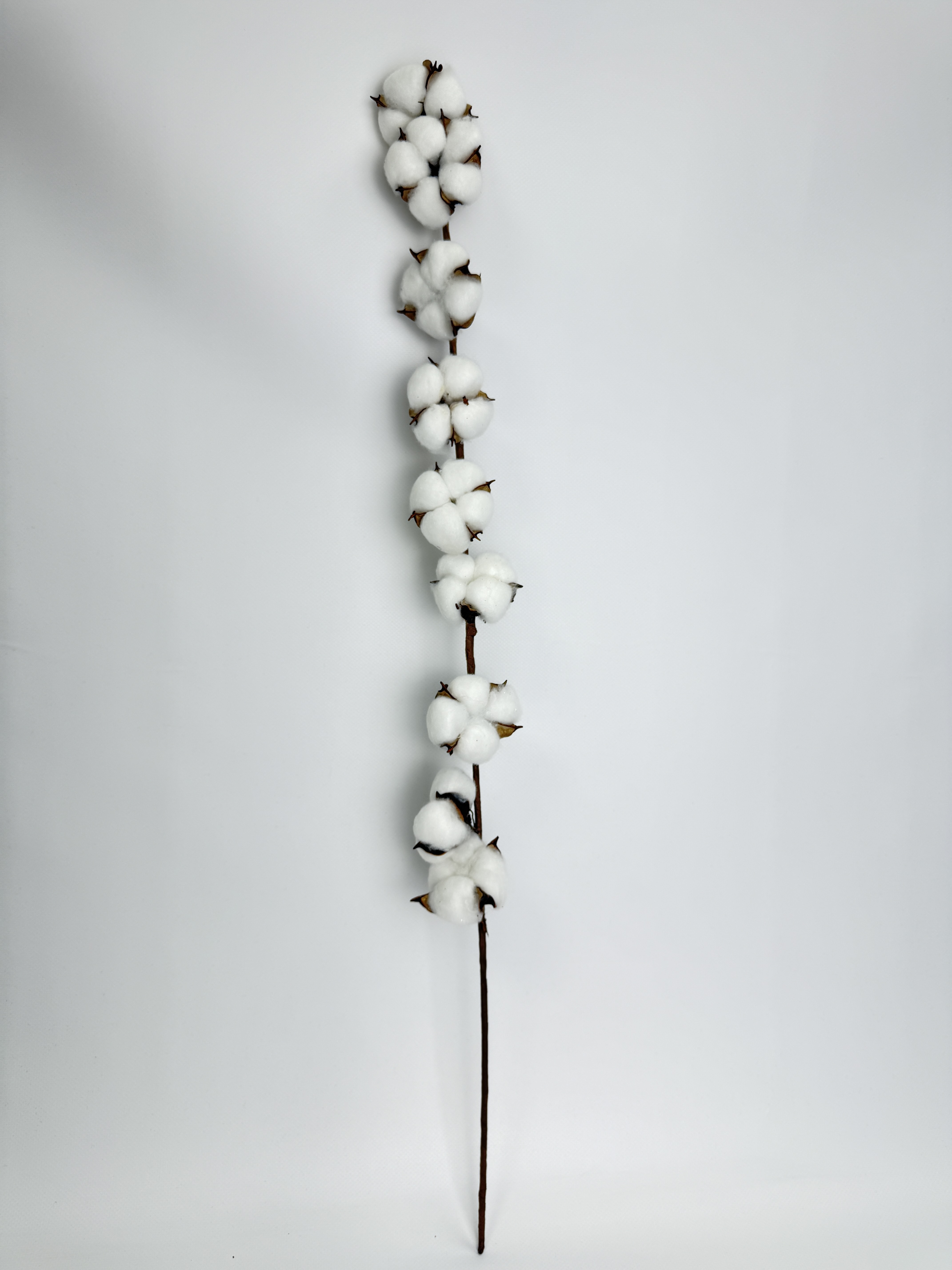 Декор Бавовна