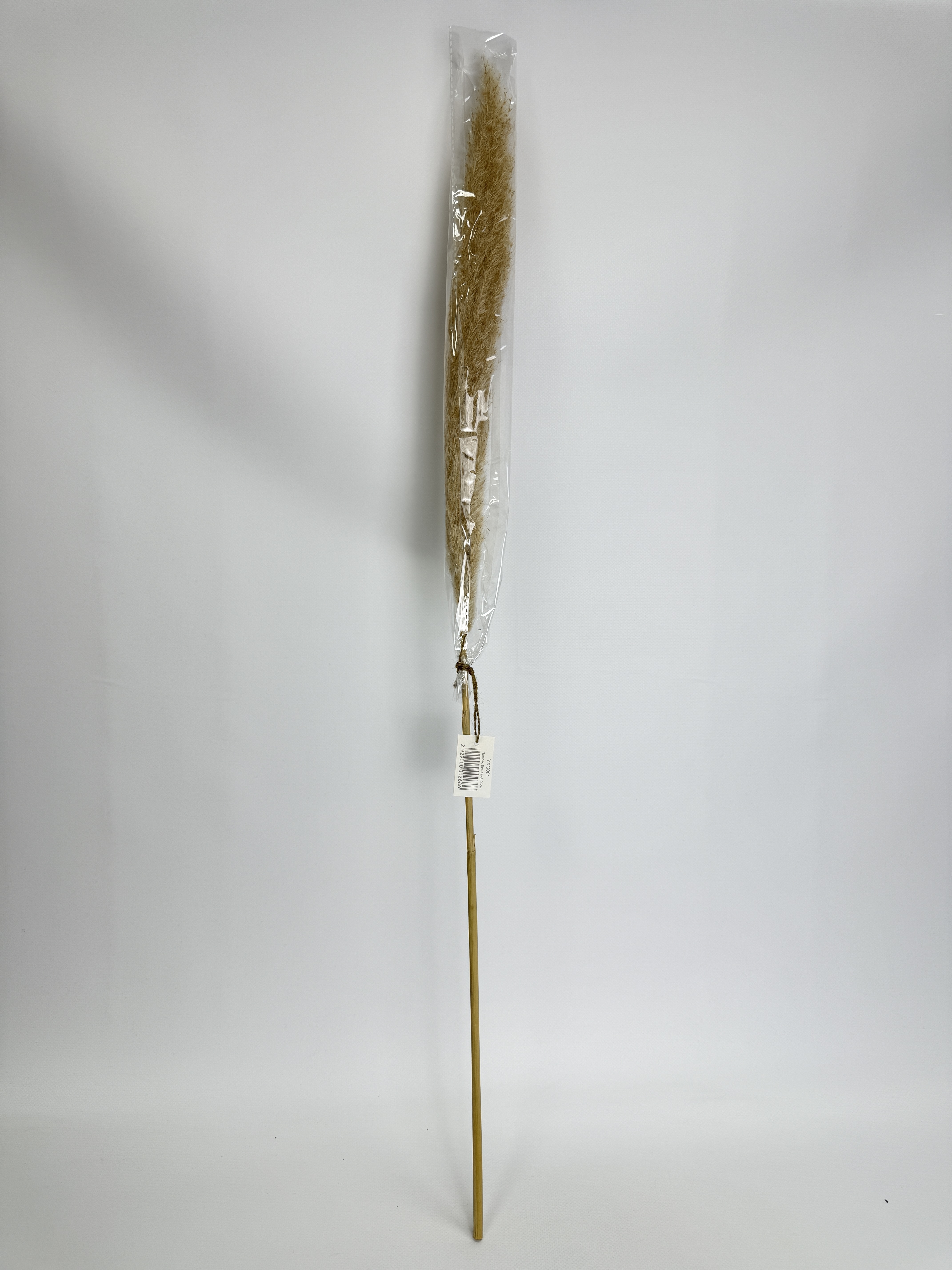 Декор YXG001 Пампас Бежевий. 90 см