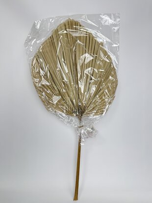 Декор YXG009 Пальмовий лист натуральний. 80 см