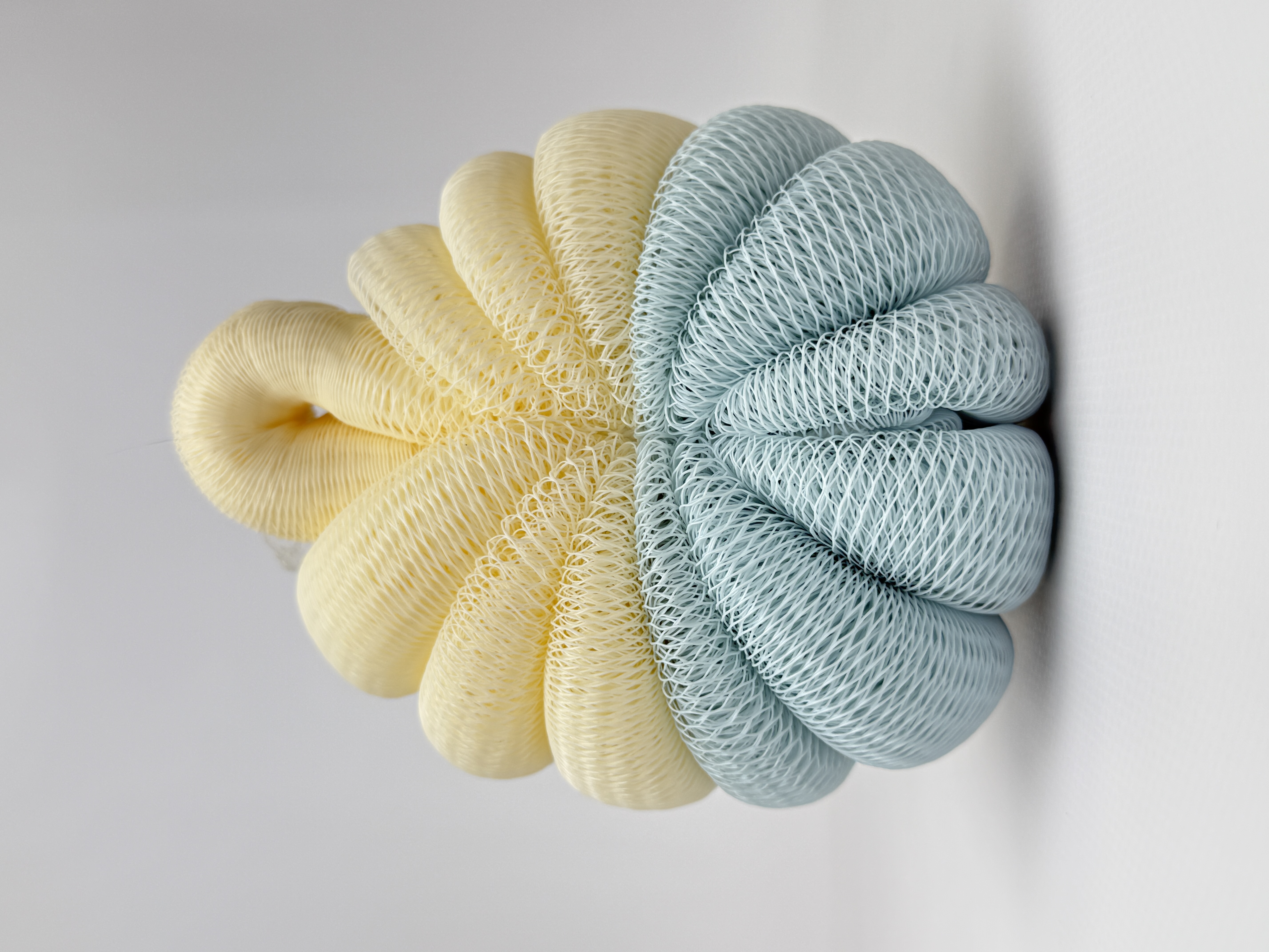 ebelin Масажна губка-пілінг з петлею 1 шт