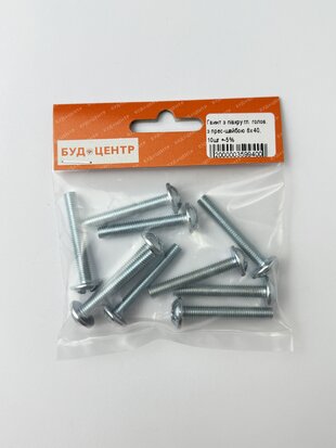 Гвинт з півкругл. голов. з прес-шайбою 6х40. 10шт +-5%