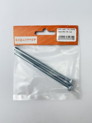 Болт з шест. гол. різьба повна М6х100. 2шт