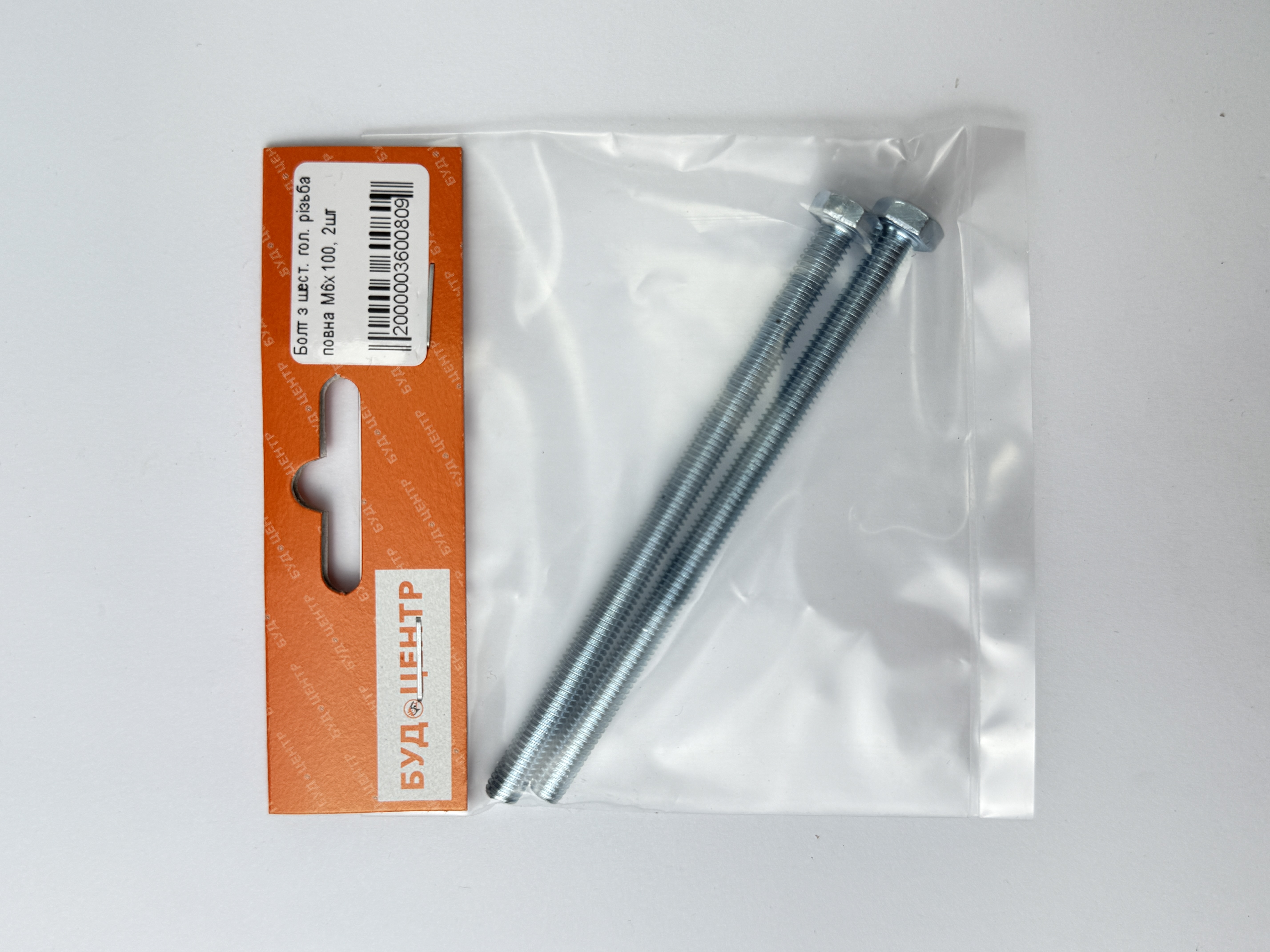 Болт з шест. гол. різьба повна М6х100. 2шт