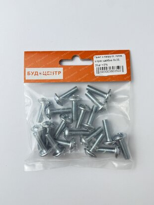 Гвинт з півкругл. голов. з прес-шайбою 6х20. 20шт +-5%