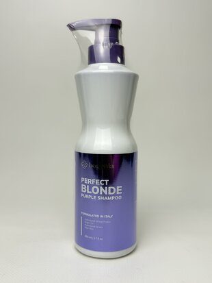 Blonde BG418 (№001 Шампунь для волосся Perfect Blonde (500мл)