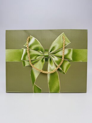 Пакет подарунковий "Бант" 18х23х10 см в асортименті